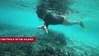 Alexander Kondrashov Все видео Выживаем на Мальдивах. Добываем Огонь. Корм для Акул