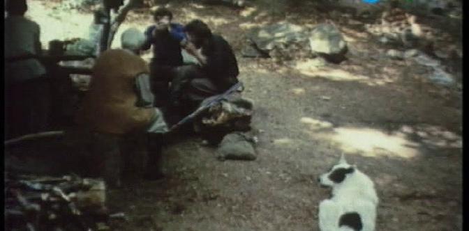 Смотреть Сто радостей, или книга великих открытий онлайн