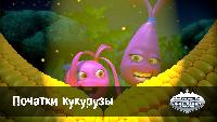 Початки кукурузы (93 серия)